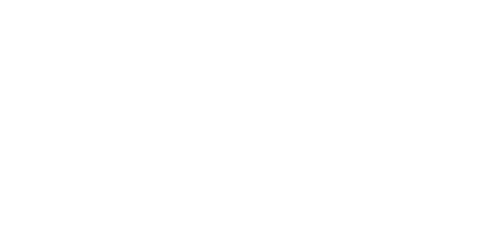 Nicolaus Copernicus University in Torun logo white transparent